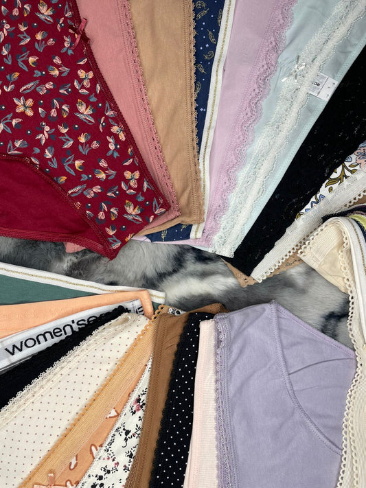 Pack of 10 Pcs Women’s Cotton Mid Waist Hipster Full Back Coverage Panty