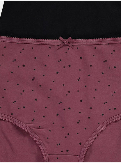 Pack of 5 Ladies High Waisted Full Back Cover  Brief Panty