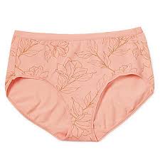 Pack of 2 Pcs Womens pure organic Cotton Brief Panty